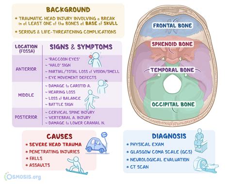 halo sign csf|Basilar Skull Fractures